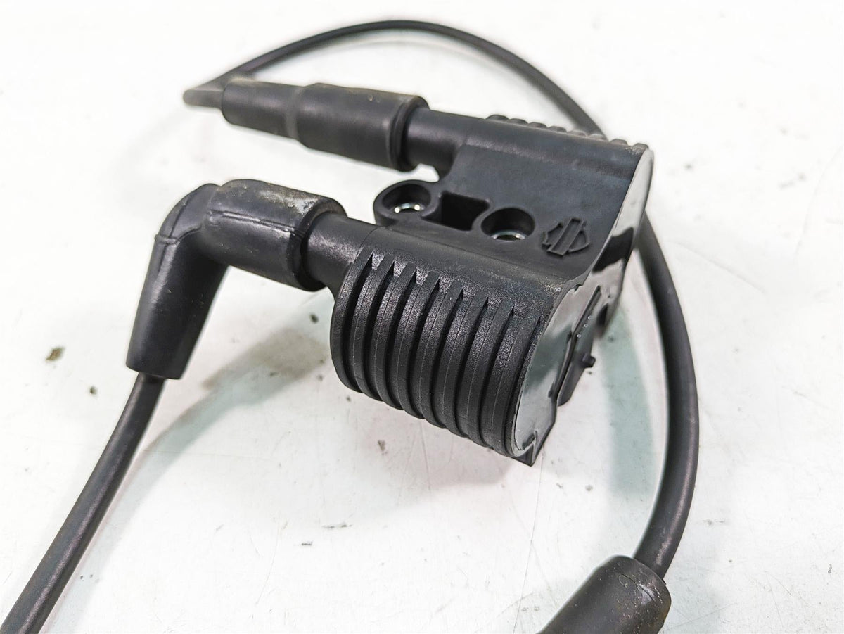 2017 Harley XL883 N Sportster Iron Ignition Coil Wires & Plugs 31656-07 {{ shop.shopifyCountryName }} - Mototech271