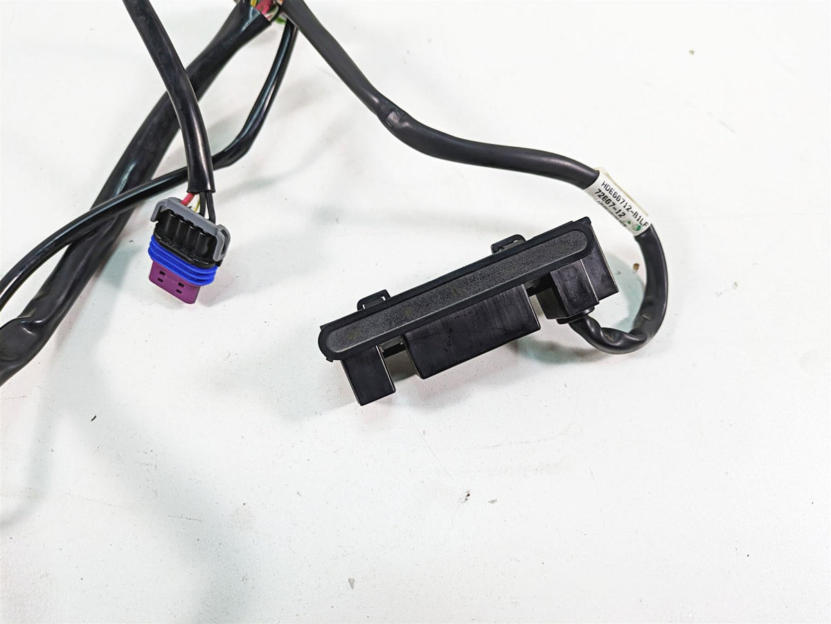 2012 Harley FLD Dyna Switchback Instrument Indicator Dash Lights 72667-12 {{ shop.shopifyCountryName }} - Mototech271