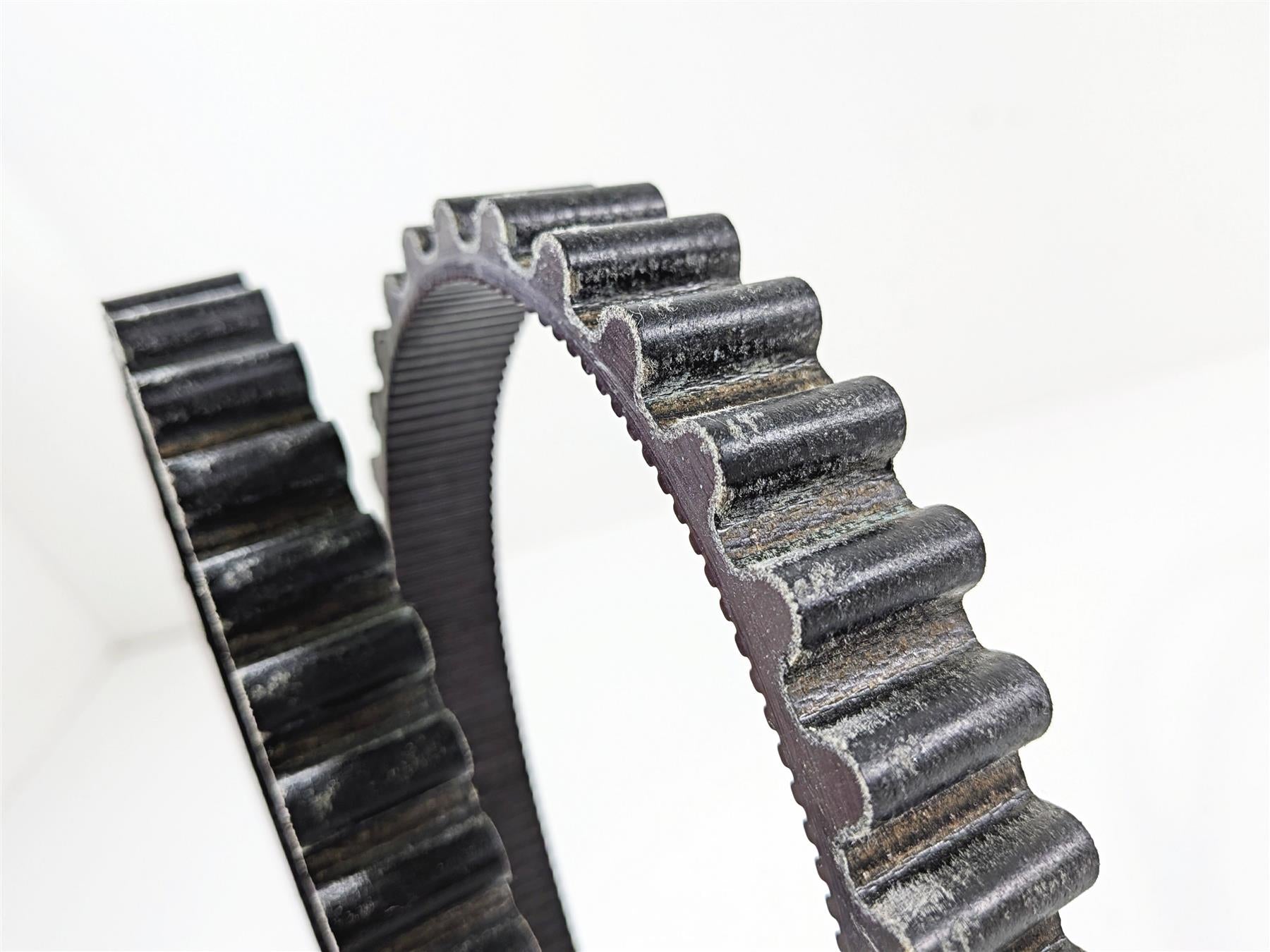 2021 Indian Scout 1200 Rear Drive Belt 141T 22mm 395miles only 3211176 {{ shop.shopifyCountryName }} - Mototech271