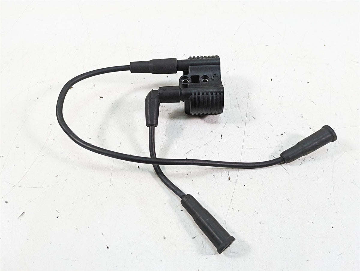 2019 Harley XL883N Sportster Iron Ignition Coil Wires & Plugs 31656-07 {{ shop.shopifyCountryName }} - Mototech271