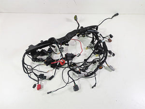 2024 Triumph Street Triple 765 R Main Wiring Harness Loom - No Cuts T2509765