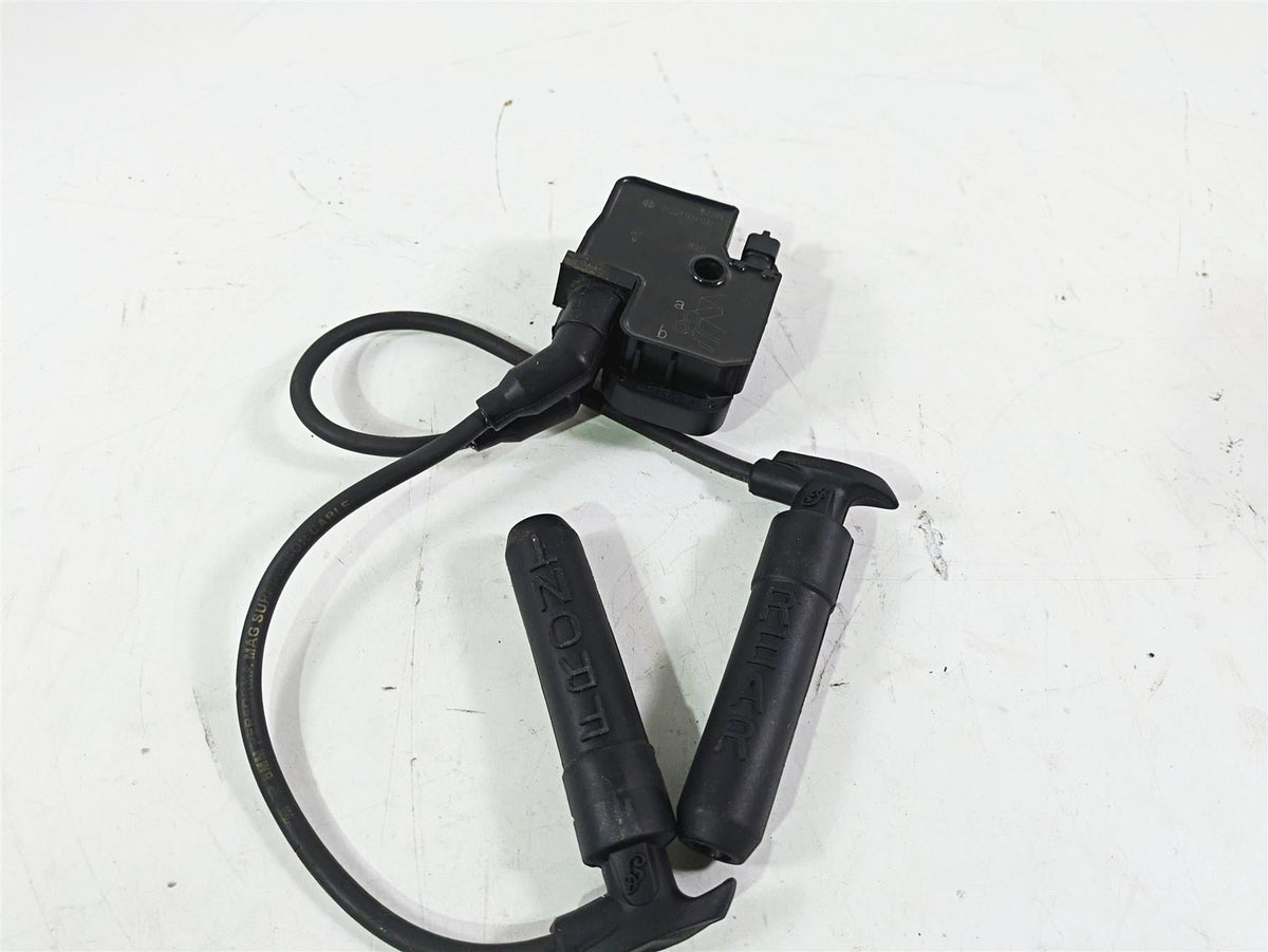 2018 Indian Chieftain Limited Ignition Coil Wires Plugs 4010425 2876049 {{ shop.shopifyCountryName }} - Mototech271