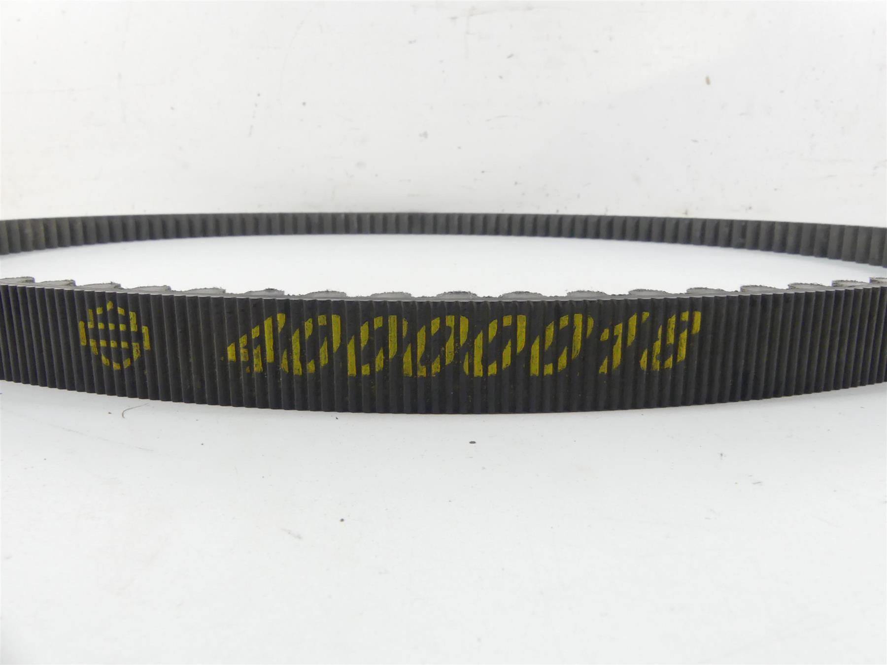 2022 Harley Softail FXBBS Street Bob Rear Main Drive Belt 134T 24mm 40000018 {{ shop.shopifyCountryName }} - Mototech271
