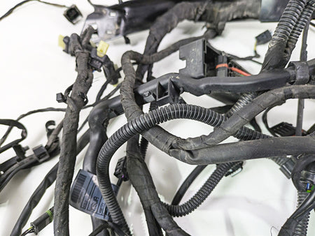 2019 BMW R1250RT K52 Main & Engine Wiring Harness Esa - Read 61119480817 {{ shop.shopifyCountryName }} - Mototech271