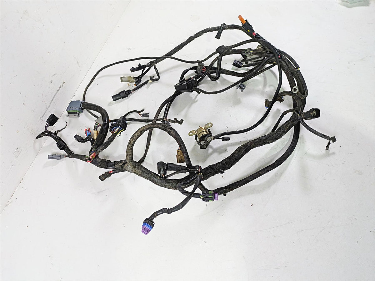 2013 Harley VRSCF Muscle Rod Main Wiring Harness Loom - Non Abs 69200094 {{ shop.shopifyCountryName }} - Mototech271