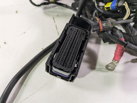 2016 BMW F800R K73 Wiring Harness Loom & Engine Wiring -No ESA 61118556428 {{ shop.shopifyCountryName }} - Mototech271
