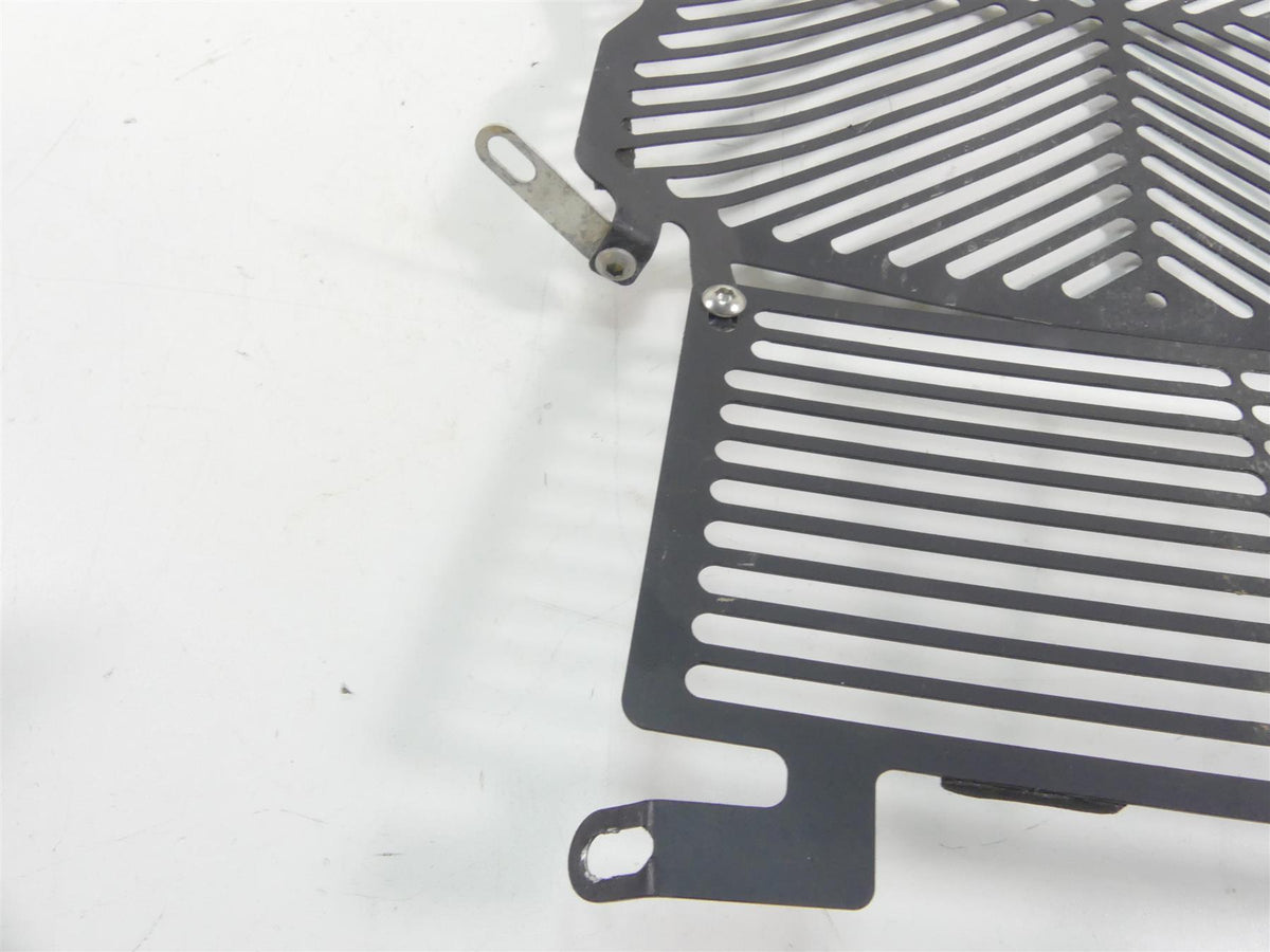 2016 BMW S1000XR K49 Aftermarket Radiator Guard Grill Cover {{ shop.shopifyCountryName }} - Mototech271