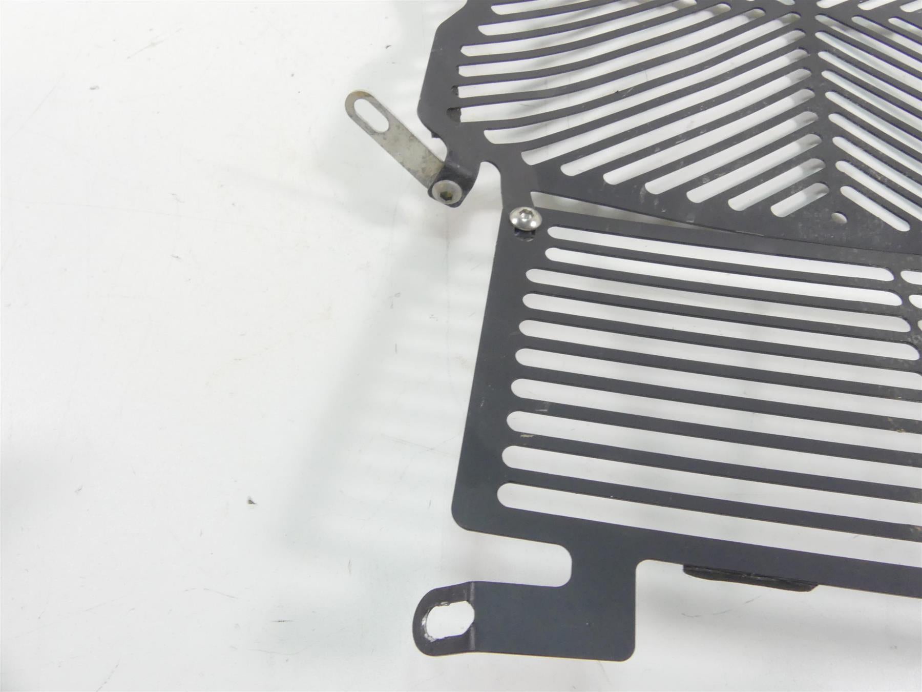 2016 BMW S1000XR K49 Aftermarket Radiator Guard Grill Cover {{ shop.shopifyCountryName }} - Mototech271