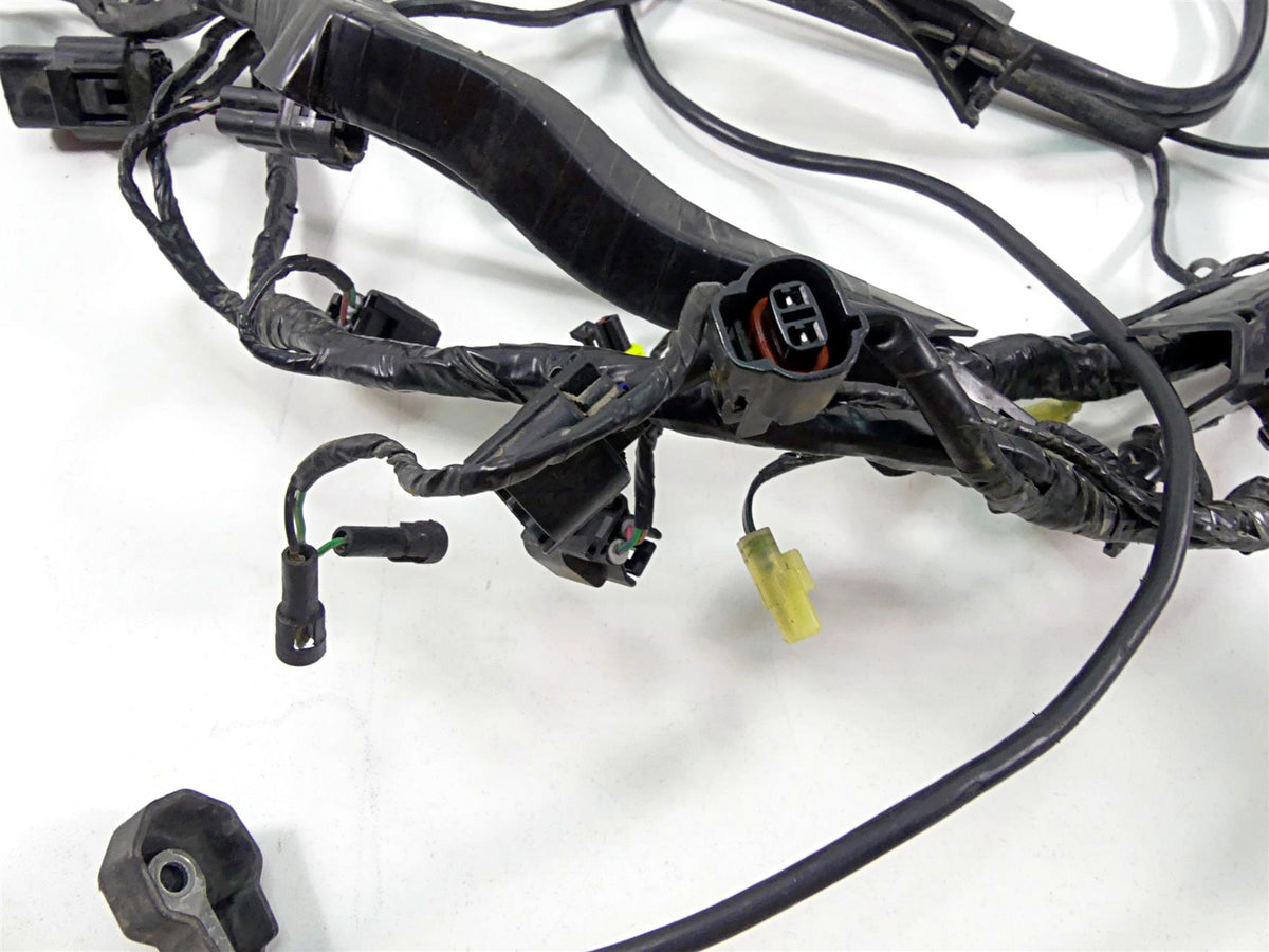 2022 Triumph Speed Triple 1200 RS Wiring Harness Loom -No Cuts T2505123 {{ shop.shopifyCountryName }} - Mototech271