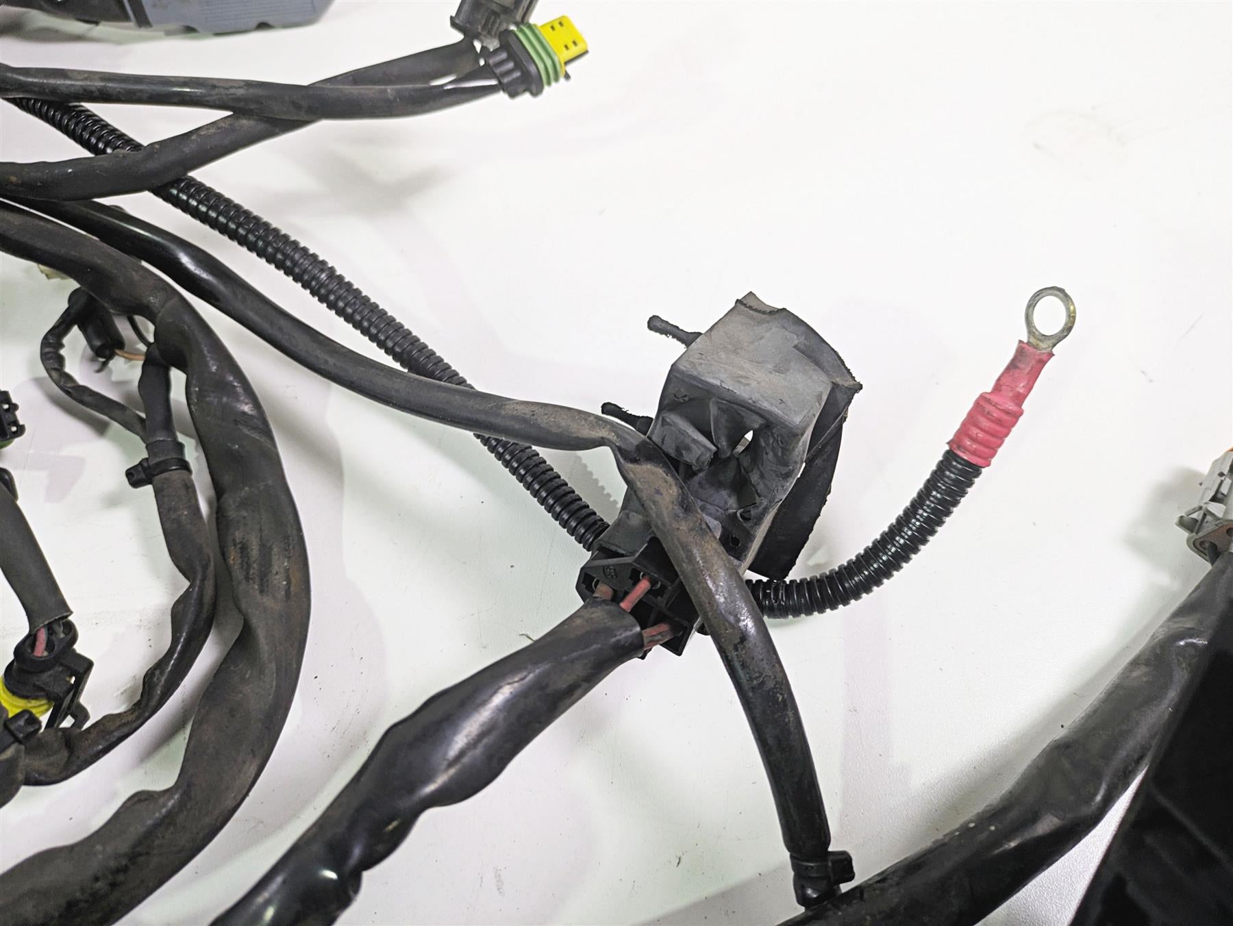 2007 Harley Touring FLHRSE CVO Road King Main Wiring Harness Loom -Read 70363-07 {{ shop.shopifyCountryName }} - Mototech271