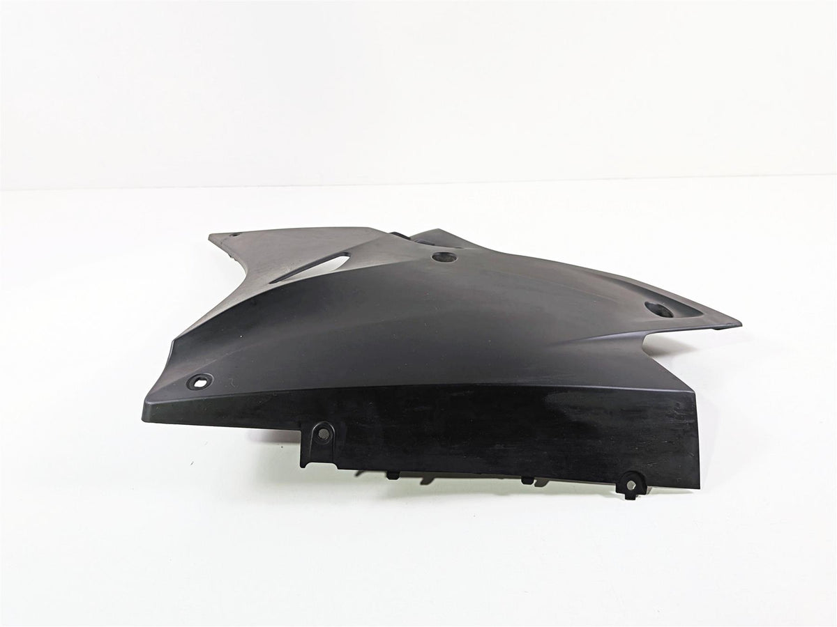 2017 BMW S1000RR K46 Left Oem Stock Belly Fairing Cover 46638563659 {{ shop.shopifyCountryName }} - Mototech271