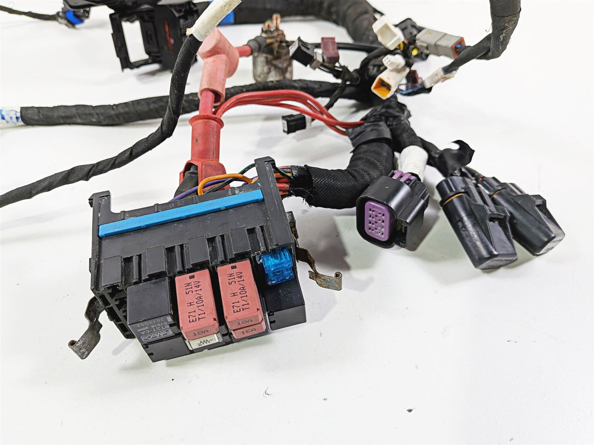 2021 Indian Scout 1200 Wiring Harness Loom No Cuts No Broken Plugs 2415429 {{ shop.shopifyCountryName }} - Mototech271