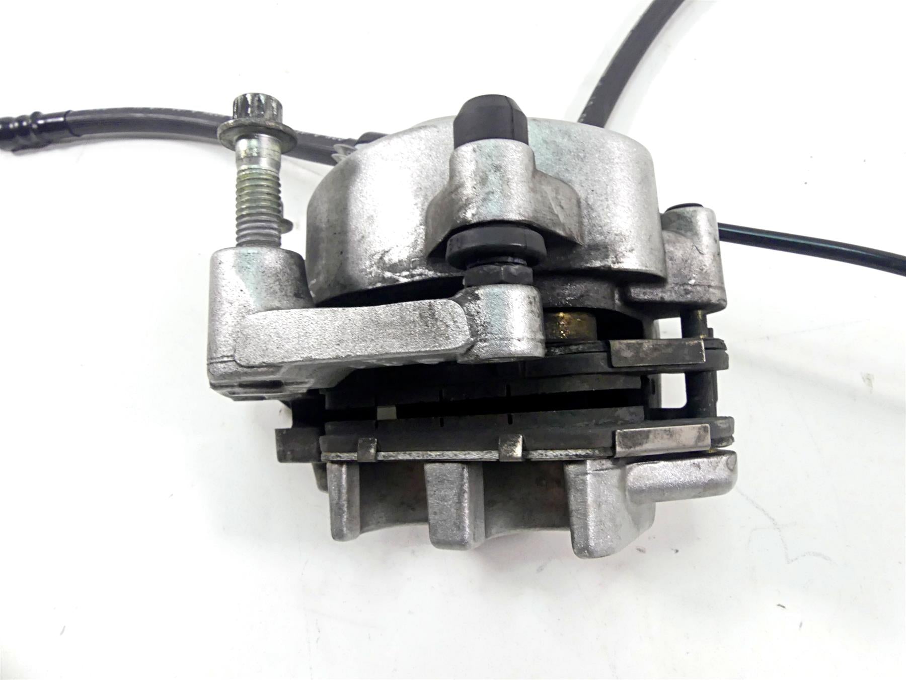 2005 Harley Sportster XL1200 C Front Brake Caliper + Line 44121-04A {{ shop.shopifyCountryName }} - Mototech271