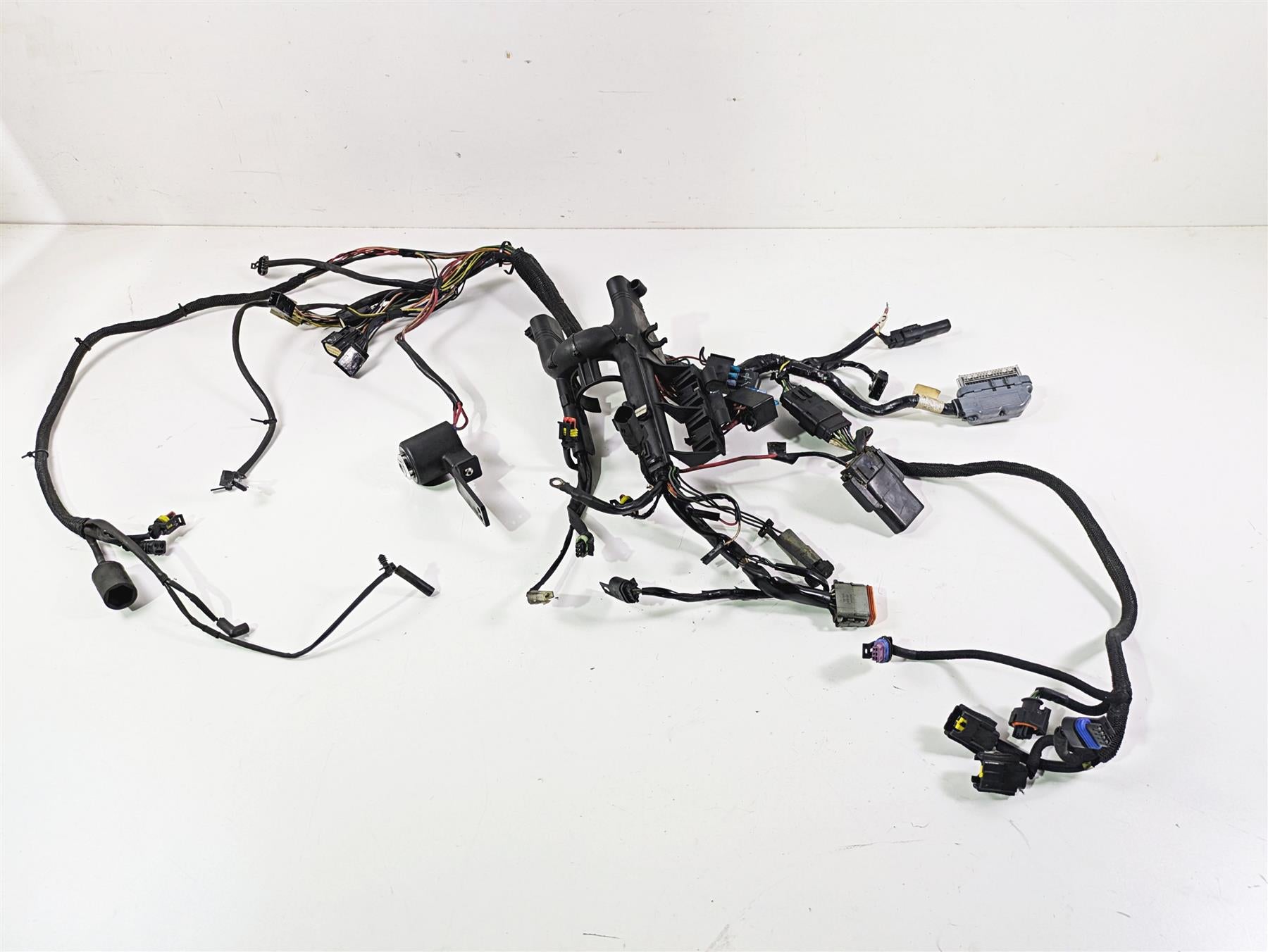 2007 Harley Sportster XL1200 C Main Wiring Harness Loom - For Parts 70224-07 {{ shop.shopifyCountryName }} - Mototech271