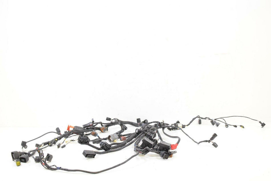 2013 Triumph Tiger 1215 Explorer XC Main Wiring Harness Loom - No Cuts T2503571 {{ shop.shopifyCountryName }} - Mototech271