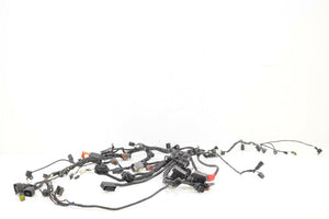 2013 Triumph Tiger 1215 Explorer XC Main Wiring Harness Loom - No Cuts T2503571 | Mototech271
