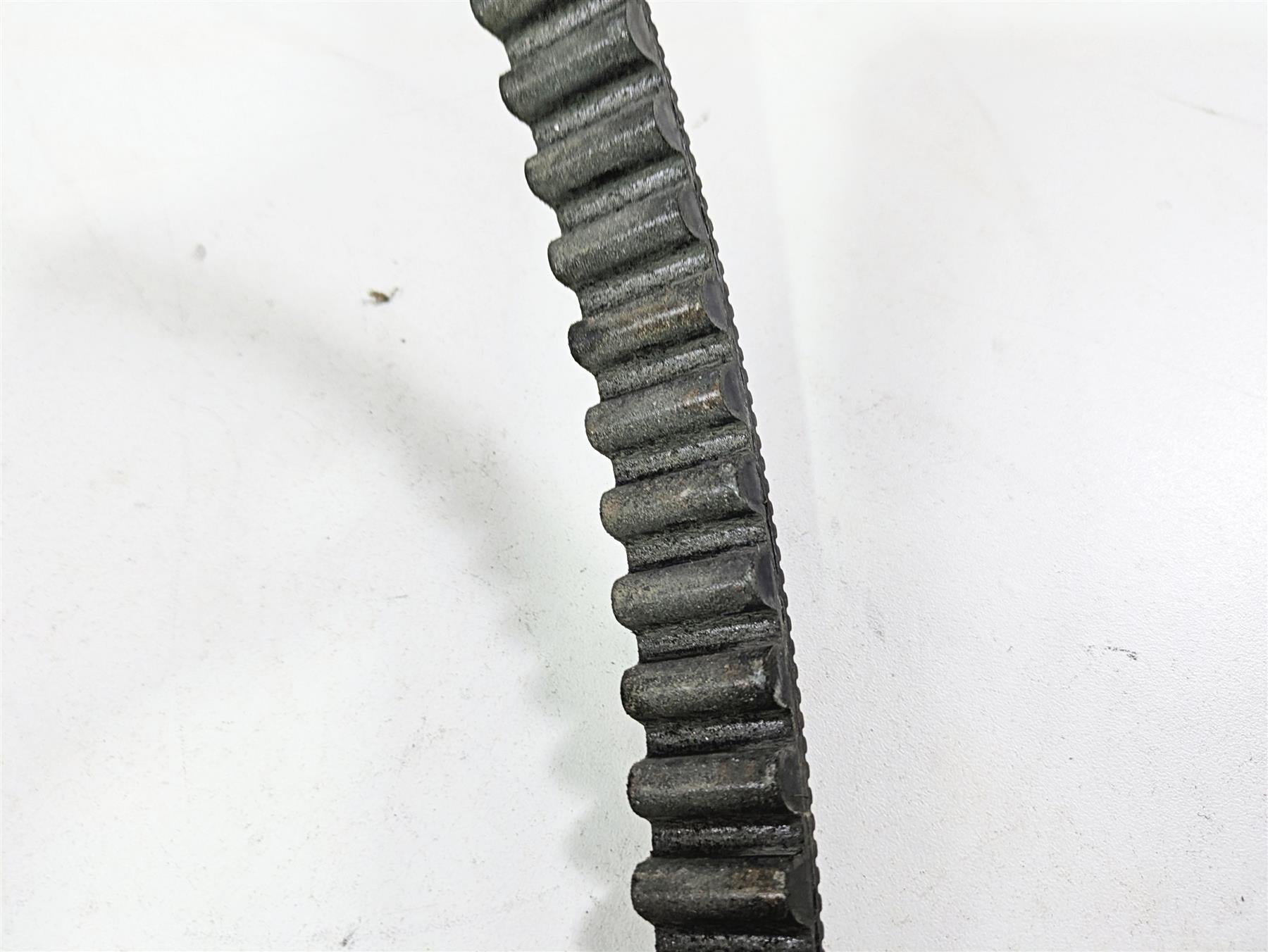 2017 Indian Chieftain Limited Drive Belt 152T 24mm Wide 3211168 {{ shop.shopifyCountryName }} - Mototech271