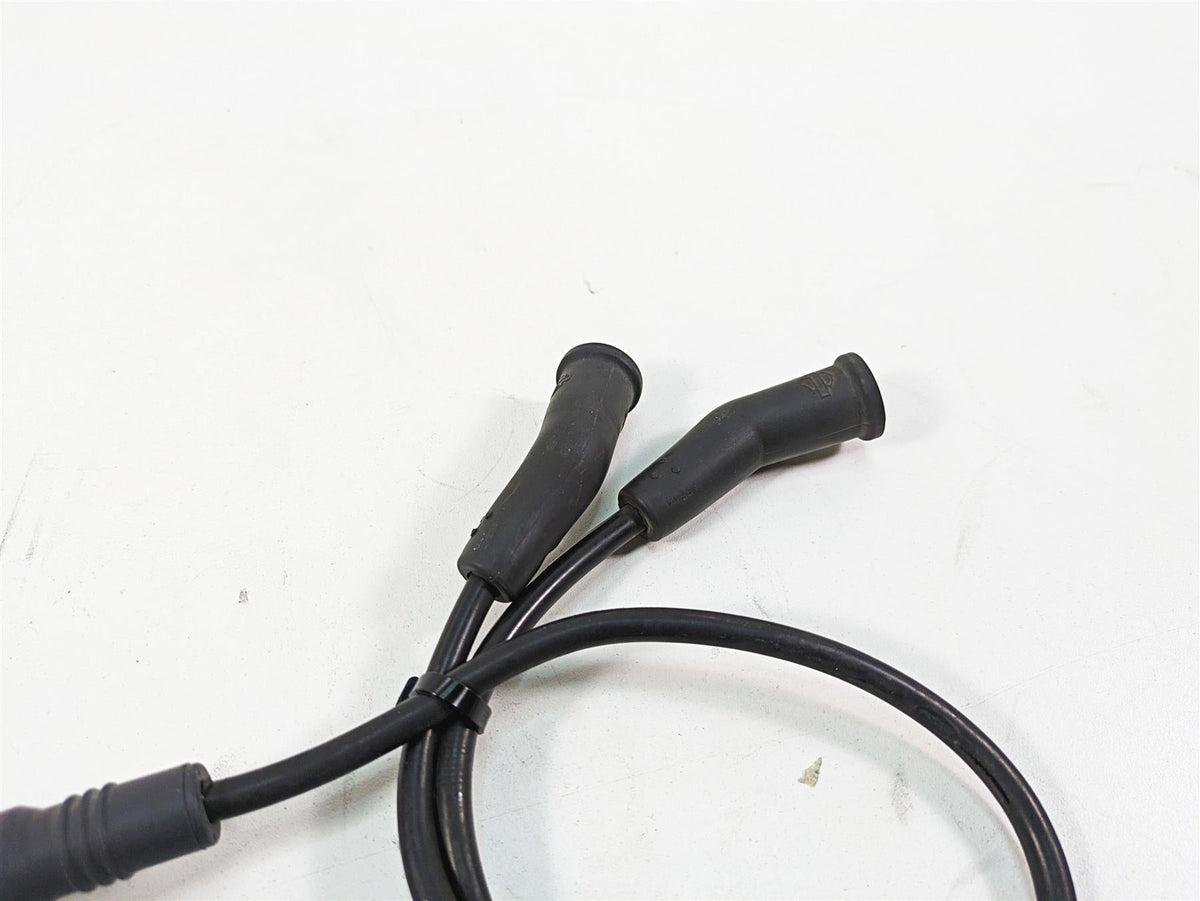 2006 Harley Touring FLHXI Street Glide Delphi Ignition Coil Wires Plugs 31743-01 {{ shop.shopifyCountryName }} - Mototech271