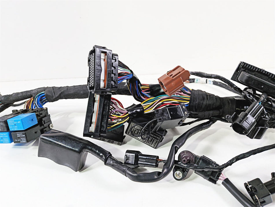 2019 Triumph Speed Triple RS 1050 Wiring Harness Loom - No Cuts T2502526 {{ shop.shopifyCountryName }} - Mototech271