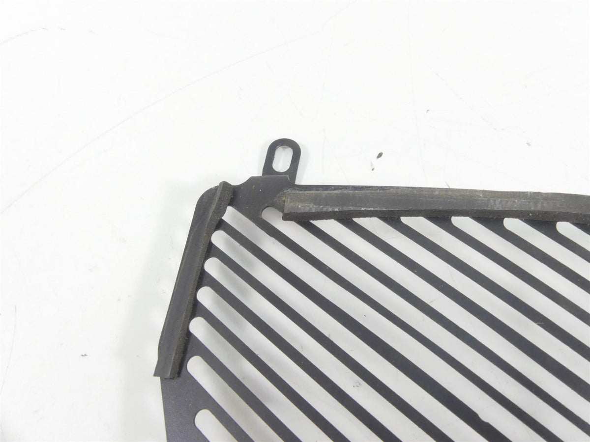 2016 BMW S1000XR K49 Aftermarket Radiator Guard Grill Cover {{ shop.shopifyCountryName }} - Mototech271
