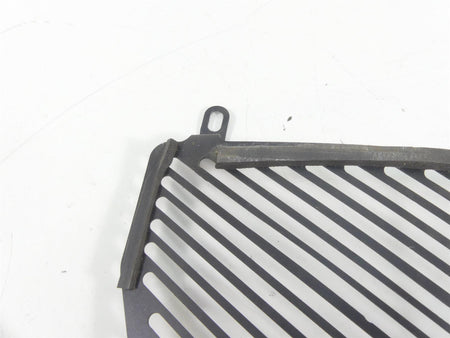 2016 BMW S1000XR K49 Aftermarket Radiator Guard Grill Cover {{ shop.shopifyCountryName }} - Mototech271
