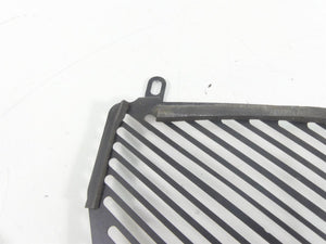 2016 BMW S1000XR K49 Aftermarket Radiator Guard Grill Cover