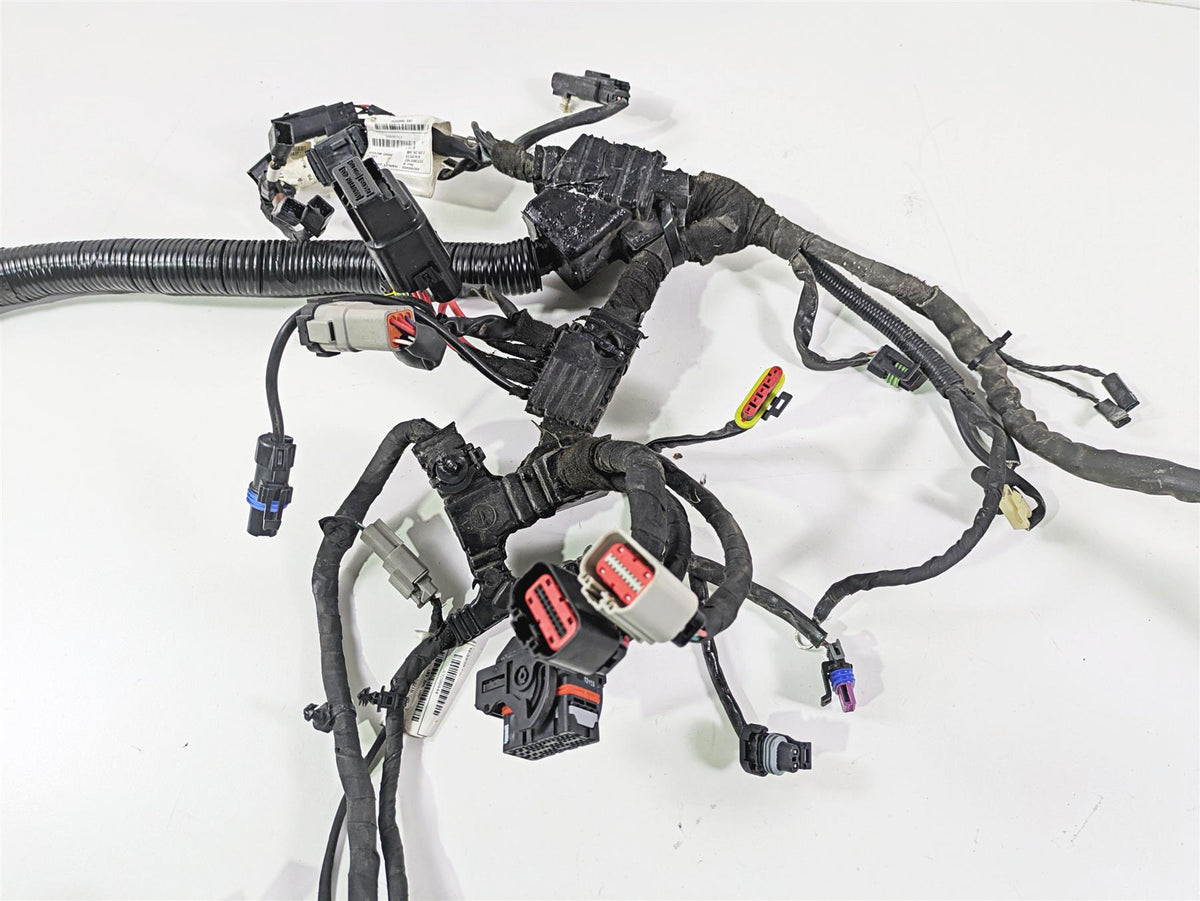 2014 Harley FXDF Dyna Fat Bob Wiring Harness Loom Non Abs 71075-12A 69200455 {{ shop.shopifyCountryName }} - Mototech271