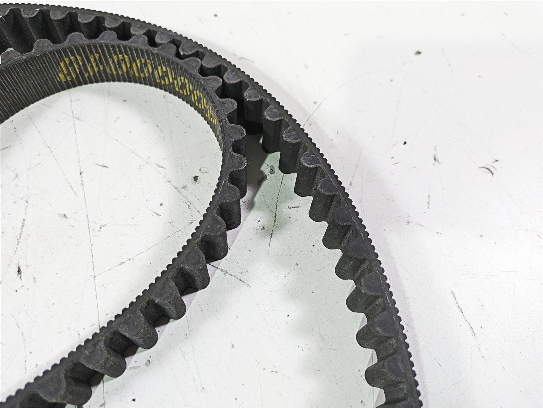 2021 Harley Softail FLSL Slim Rear Drive Belt 134T 24mm 40000018 {{ shop.shopifyCountryName }} - Mototech271