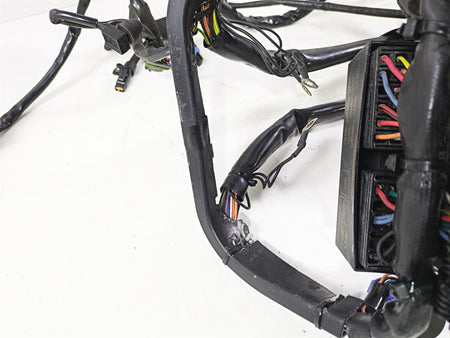 2004 Harley FLSTCI Softail Heritage Wiring Harness Loom EFI 70431-04 {{ shop.shopifyCountryName }} - Mototech271