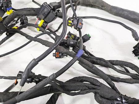 2018 Ducati Hypermotard 939 SP Wiring Harness Loom - No Cuts 5101A641D {{ shop.shopifyCountryName }} - Mototech271