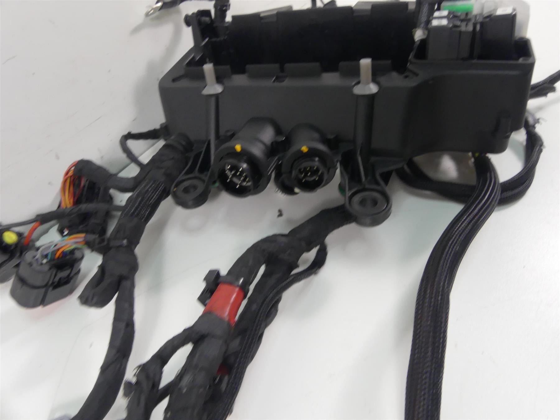 2018 Ducati Panigale 1100 V4 S Wiring Harness Loom Set 5101C371E 5101C381E {{ shop.shopifyCountryName }} - Mototech271