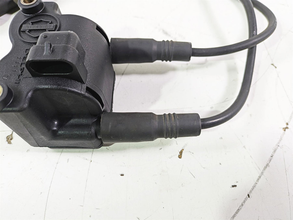 2003 Harley Touring FLHTCUI E-Glide 100th Ignition Coil Wires Plugs 31743-01 {{ shop.shopifyCountryName }} - Mototech271