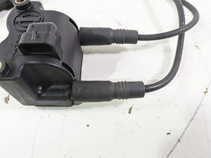 2003 Harley Touring FLHTCUI E-Glide 100th Ignition Coil Wires Plugs 31743-01