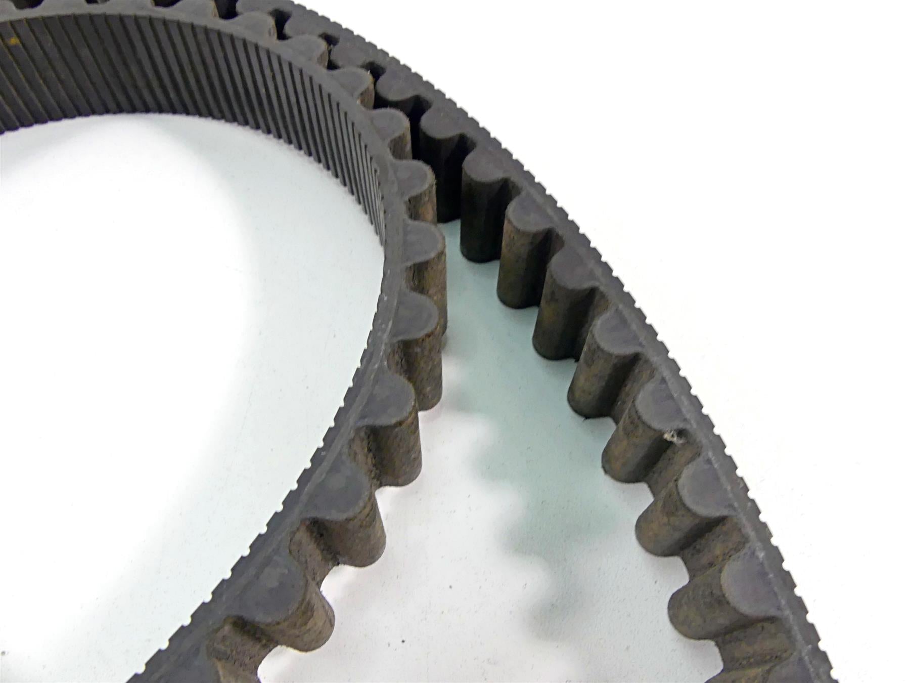 2014 Harley VRSCF Muscle V-Rod Rear Main Drive Belt 151T 40144-07 {{ shop.shopifyCountryName }} - Mototech271