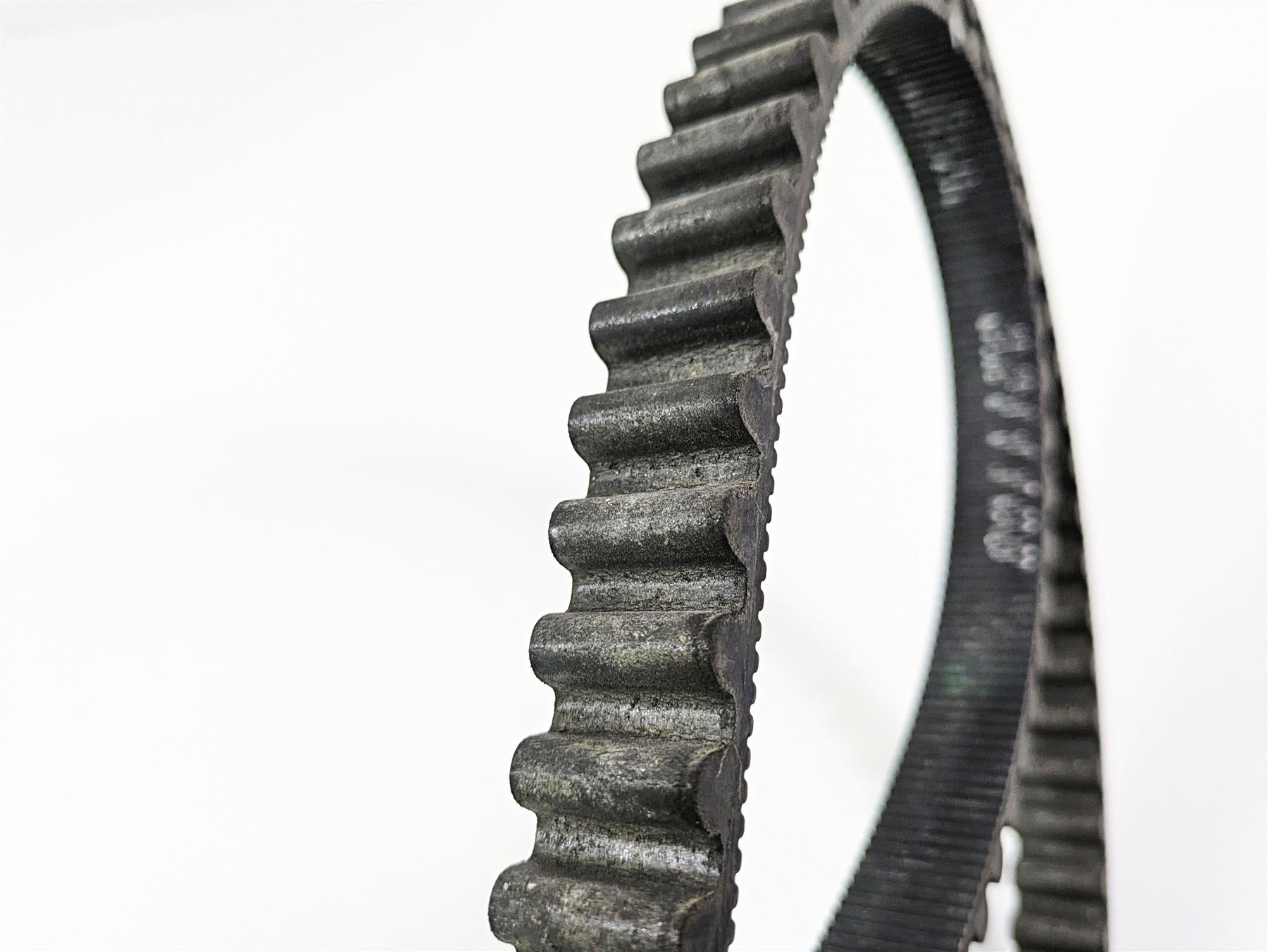 2016 Indian Chief Classic Rear Drive Belt 125T 24mm 3211168 {{ shop.shopifyCountryName }} - Mototech271
