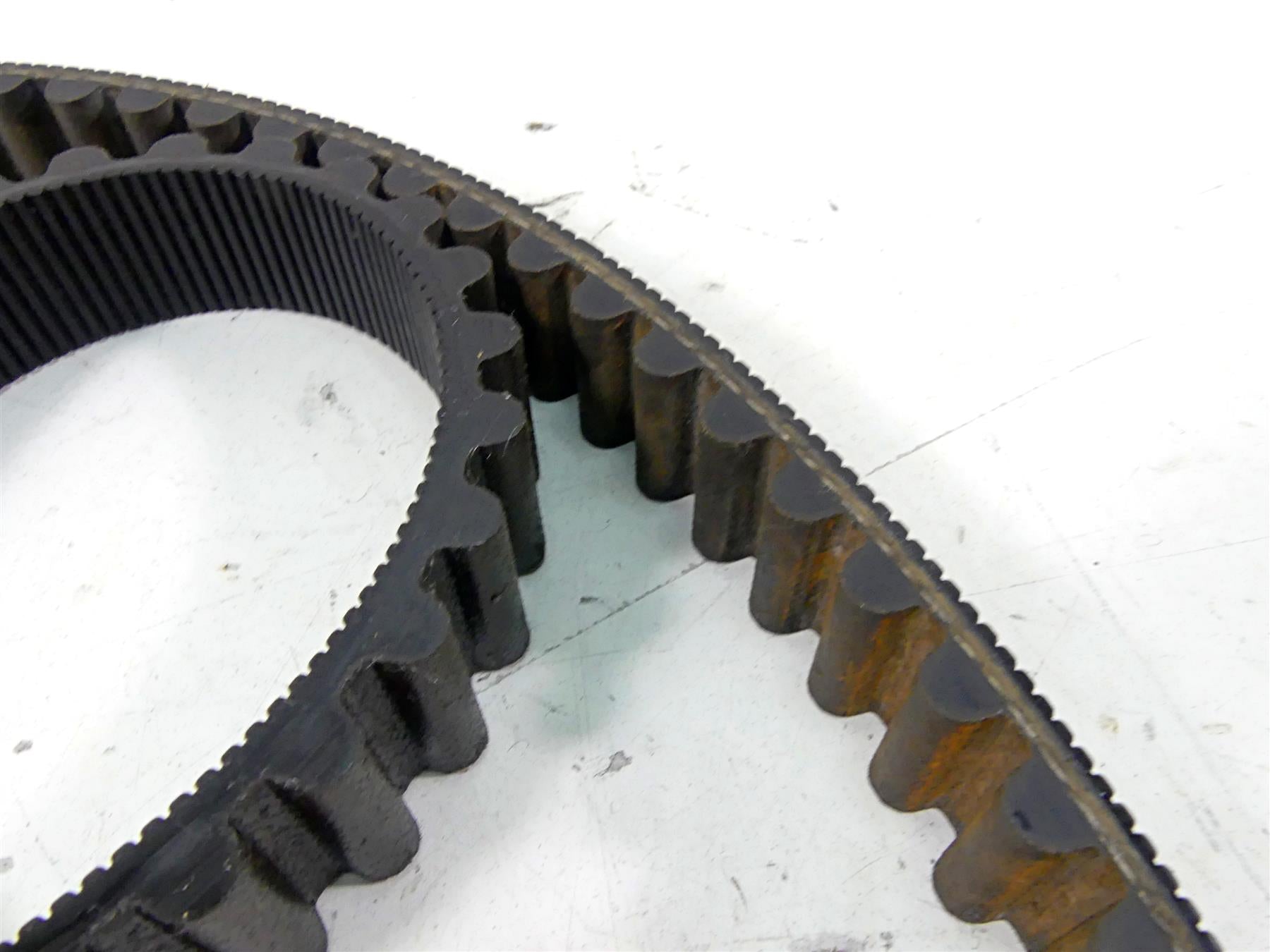 1997 Harley Sportster XL1200 C Rear Drive Belt 128T 1 1/8" 40022-91 {{ shop.shopifyCountryName }} - Mototech271
