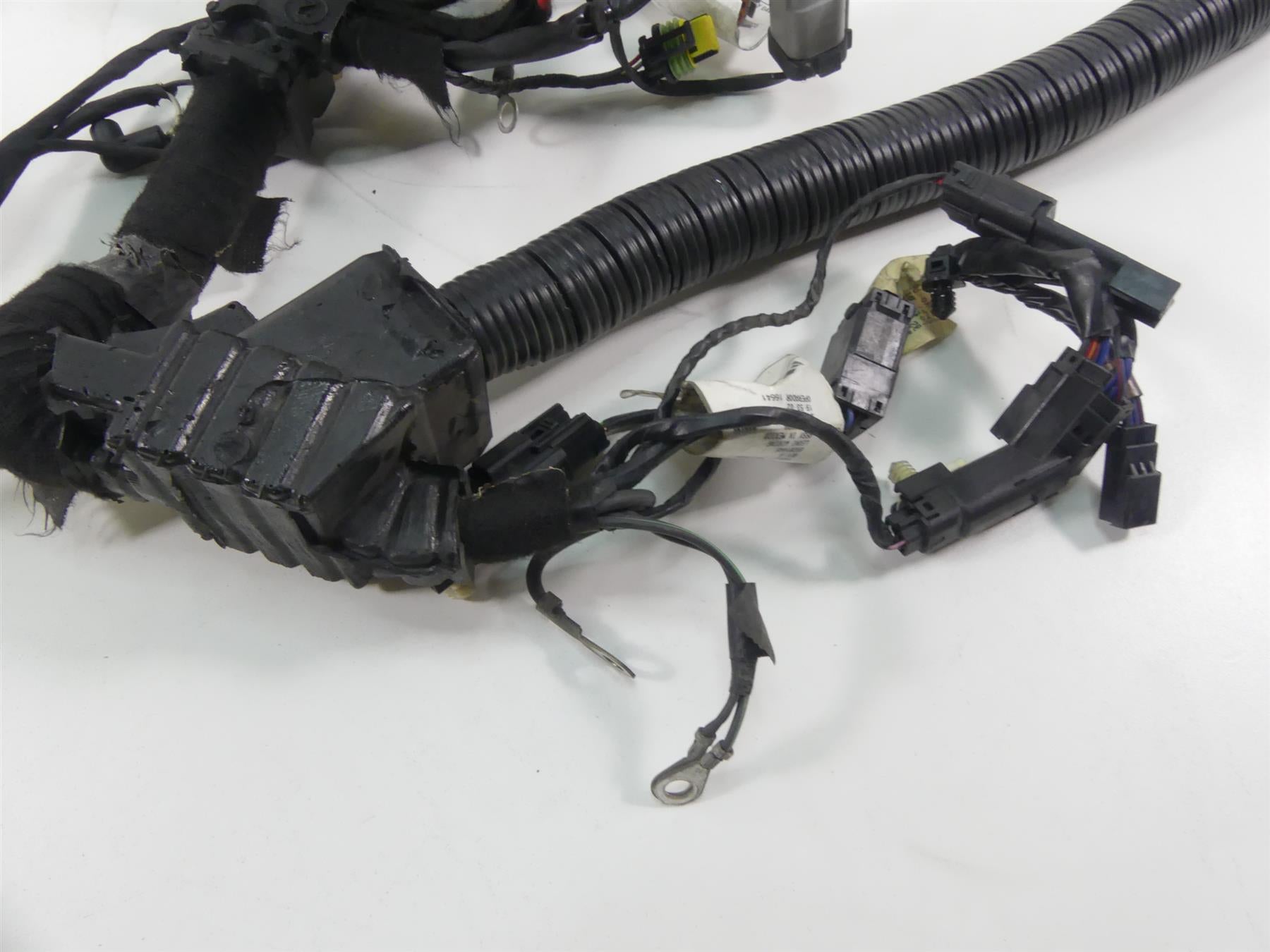 2017 Harley Dyna FXDB Street Bob Main Wiring Harness -Non Abs 71072-12 {{ shop.shopifyCountryName }} - Mototech271