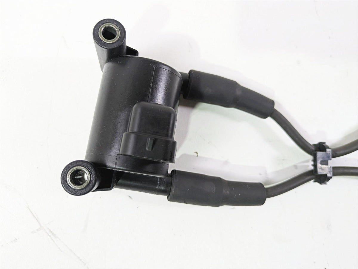 2016 Harley FXDWG Dyna Wide Glide Delphi Ignition Coil Wires Plug Set 31696-07A {{ shop.shopifyCountryName }} - Mototech271