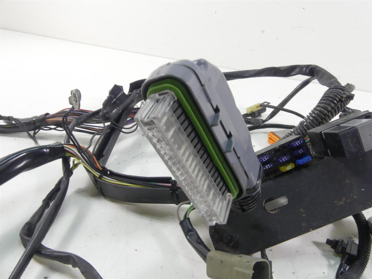 2002 Harley Softail FXSTDI Deuce Main Wiring Harness Loom - No Cut 70431-01 {{ shop.shopifyCountryName }} - Mototech271