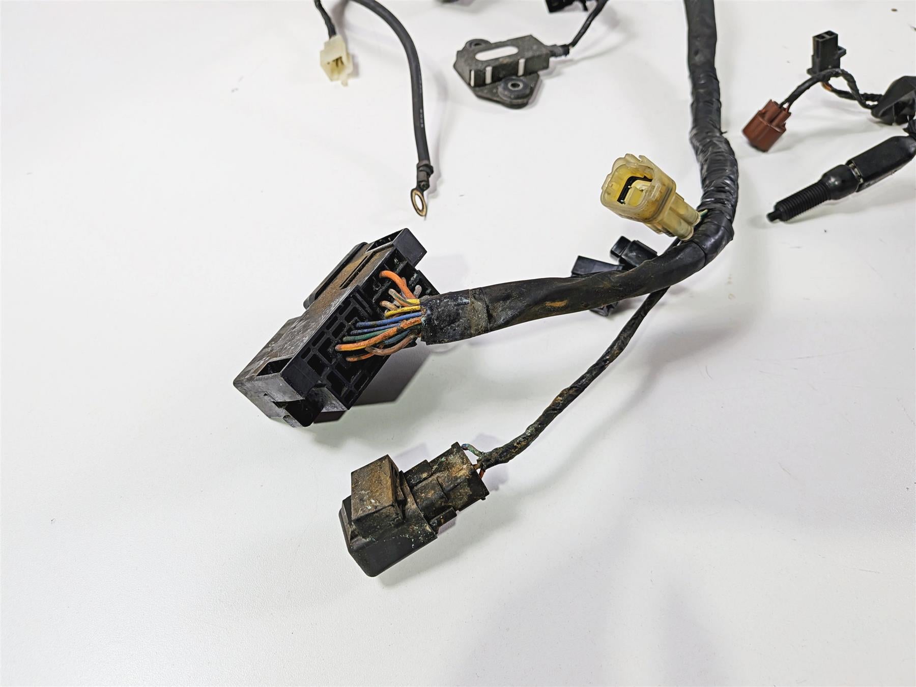 2006 Suzuki VL800 C50 Boulevard Wiring Harness Loom READ 36610-41FH0 36610-41FH1 {{ shop.shopifyCountryName }} - Mototech271