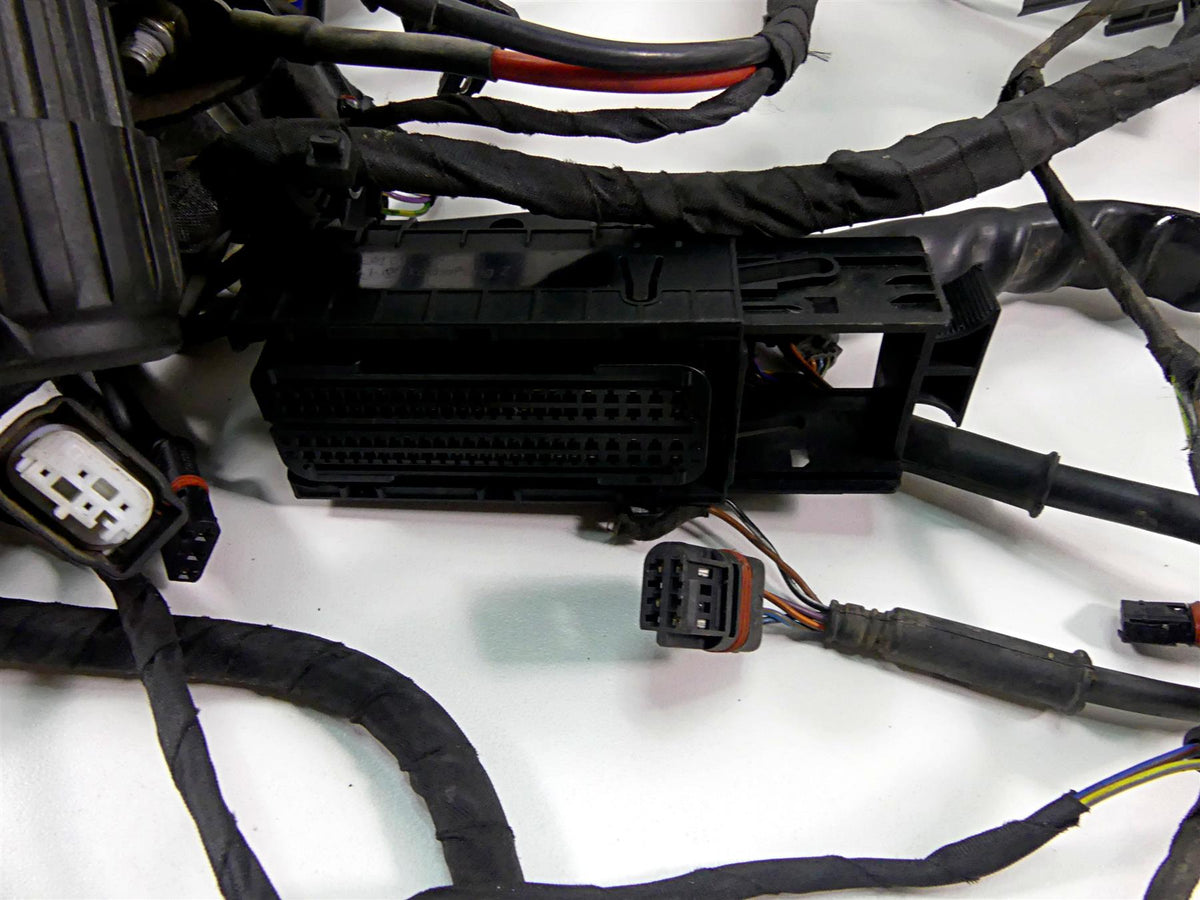 2013 BMW F800GS STD K72 Engine & Main Wiring Harness 12518534523 61118534518 {{ shop.shopifyCountryName }} - Mototech271