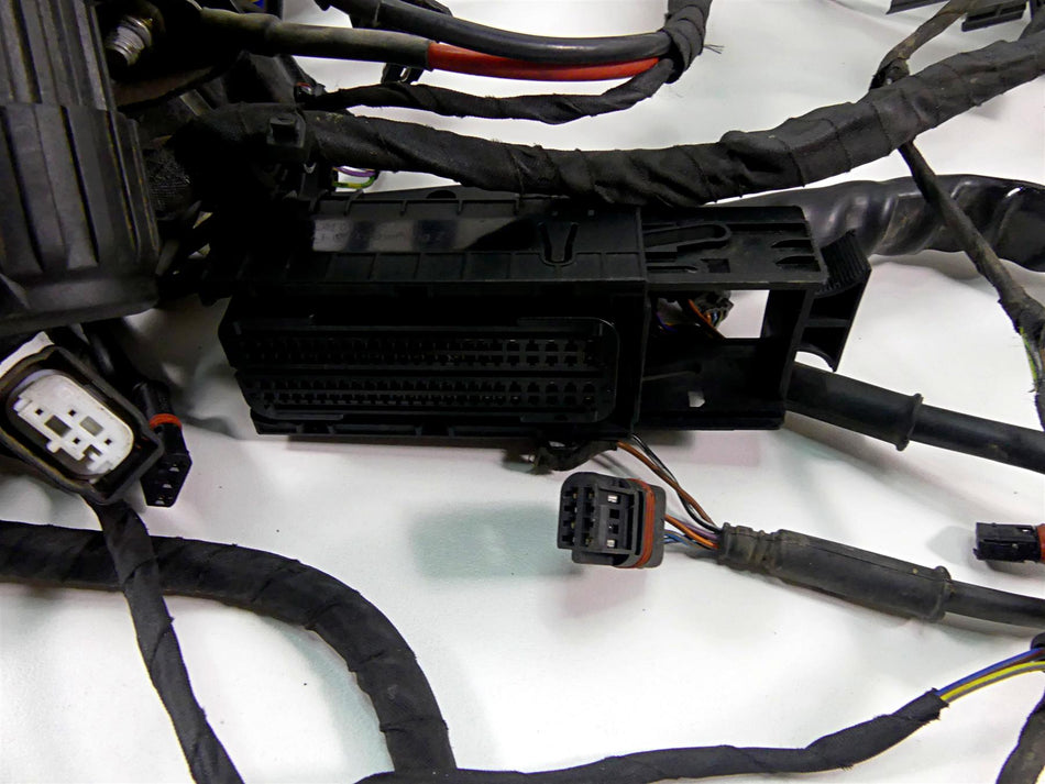 2013 BMW F800GS STD K72 Engine & Main Wiring Harness 12518534523 61118534518 {{ shop.shopifyCountryName }} - Mototech271