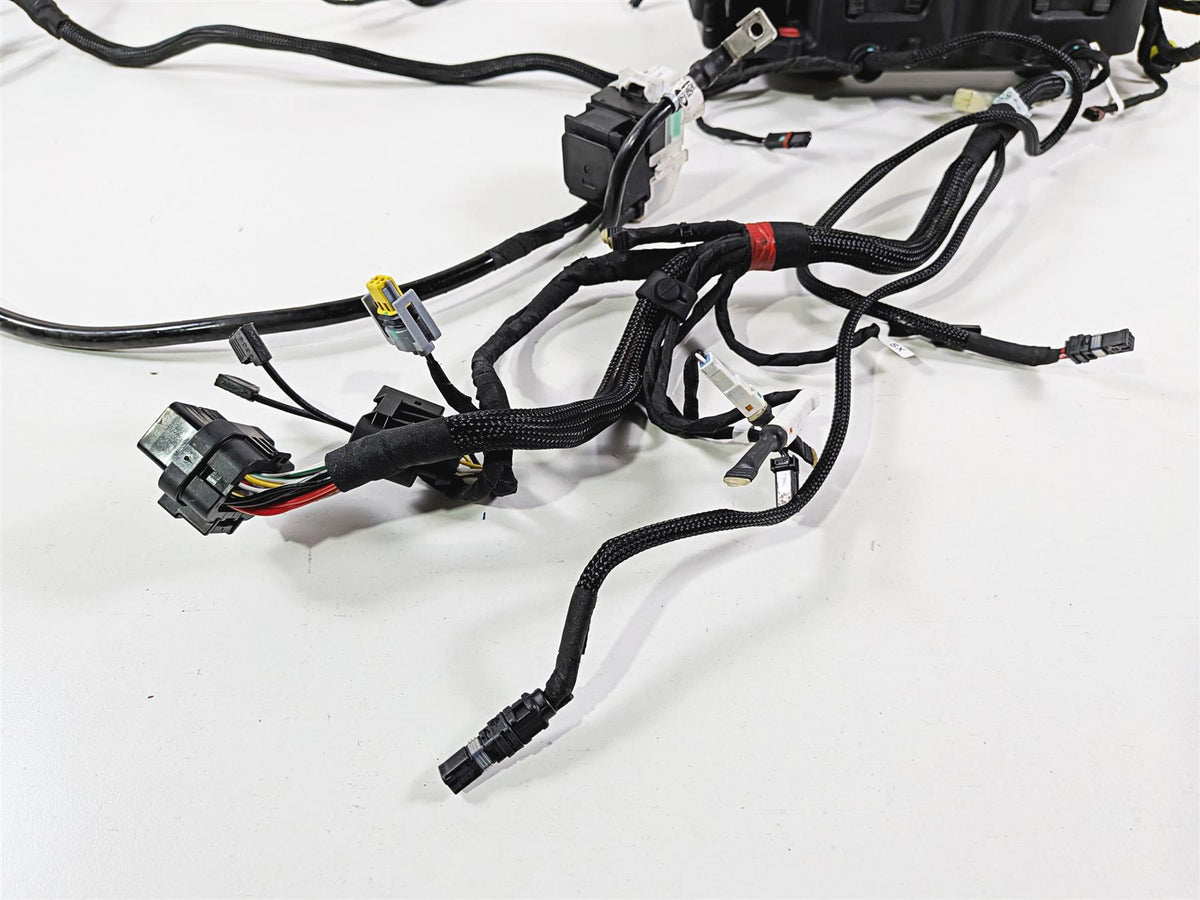 2023 Ducati Streetfighter V4 Main Wiring Harness Loom - No Cuts 5101M271B-Mototech271