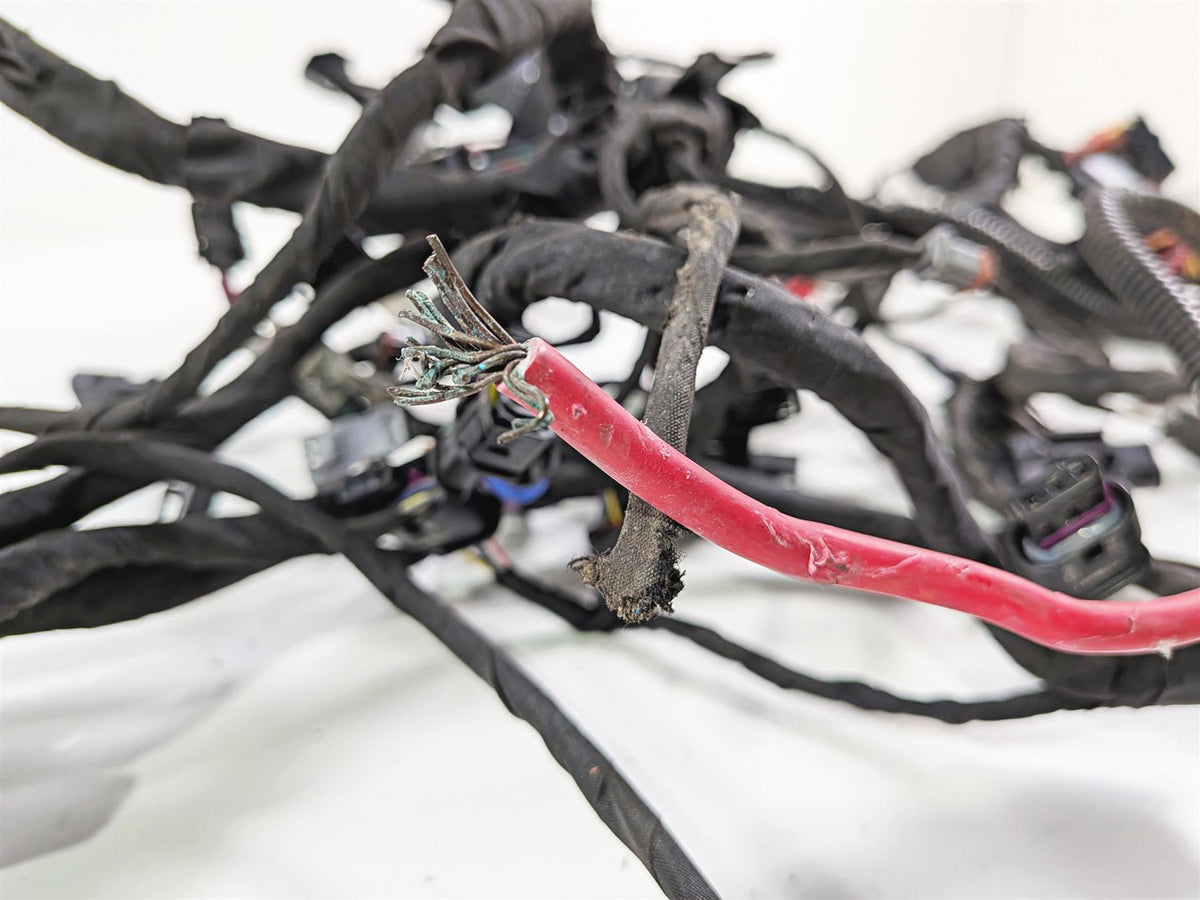 2023 Harley Adv RA1250 S Pan America Wiring Harness Loom FOR PARTS 69202185B {{ shop.shopifyCountryName }} - Mototech271