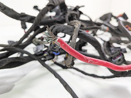 2023 Harley Adv RA1250 S Pan America Wiring Harness Loom FOR PARTS 69202185B {{ shop.shopifyCountryName }} - Mototech271