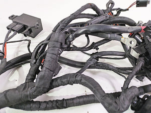 2017 BMW F800GS Adv K75 Engine & Main Wiring Harness 12518566629 61118566632