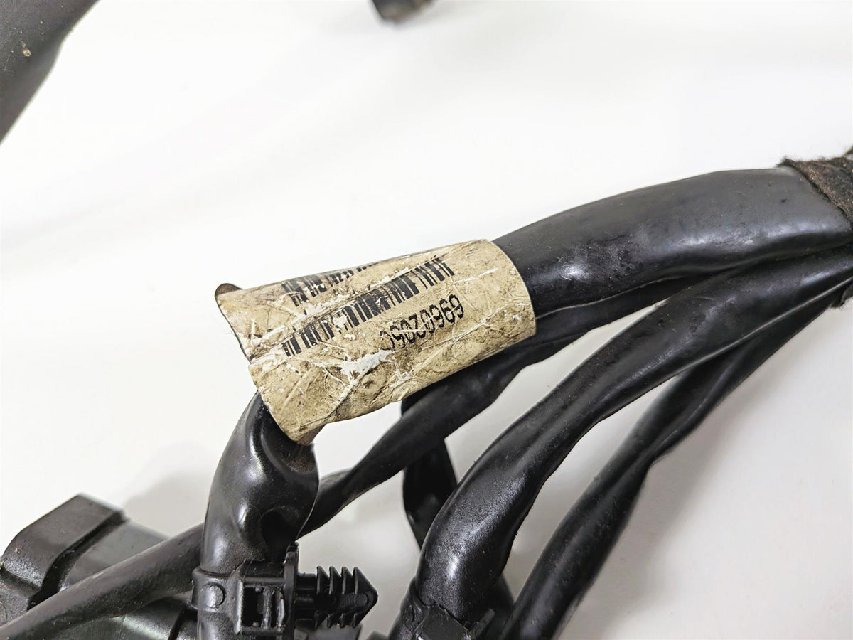 2006 Harley Davidson Dyna FXDBI Street Bob Wiring Harness Loom - Read 69602-06 {{ shop.shopifyCountryName }} - Mototech271
