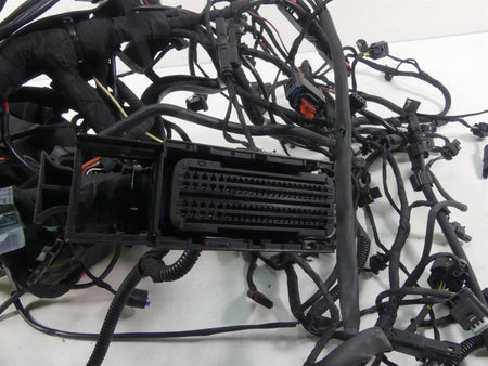 2017 BMW R1200GS GSW K50 Main & Motor Wiring Harness Esa Grip Heater 61118350519 {{ shop.shopifyCountryName }} - Mototech271