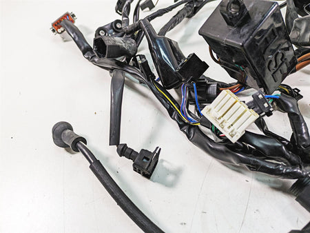 2011 Triumph America Main Wiring Harness Loom - No Cuts T2507611 {{ shop.shopifyCountryName }} - Mototech271