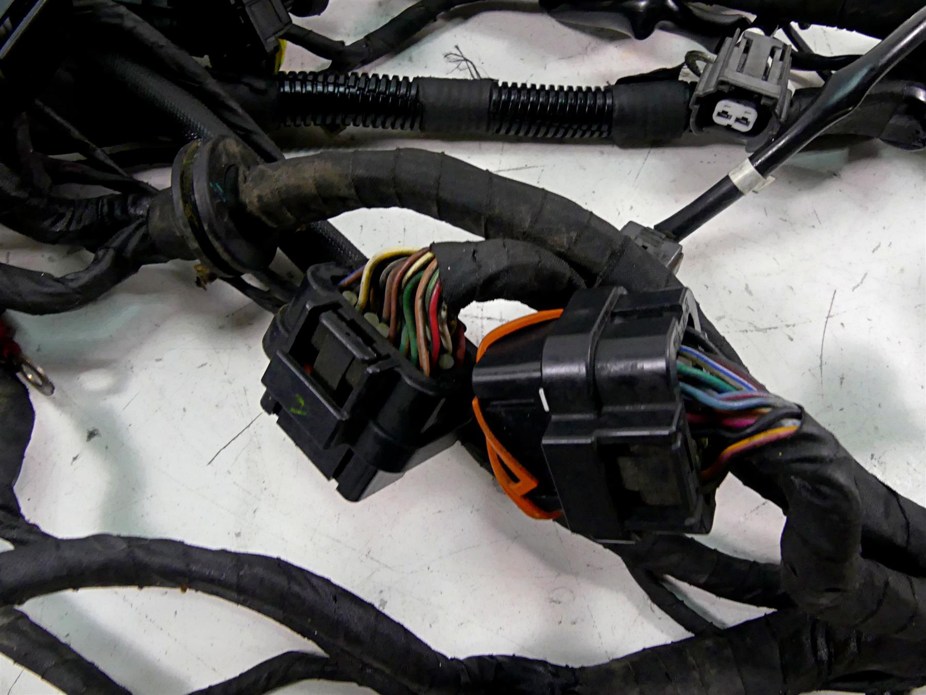 2013 Ducati Diavel Red Wiring Harness Loom - No Cuts 51017341D {{ shop.shopifyCountryName }} - Mototech271